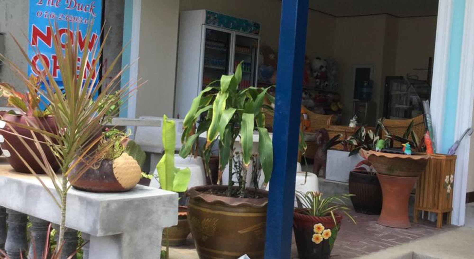 The Duck Hotel Phuket Exterior photo